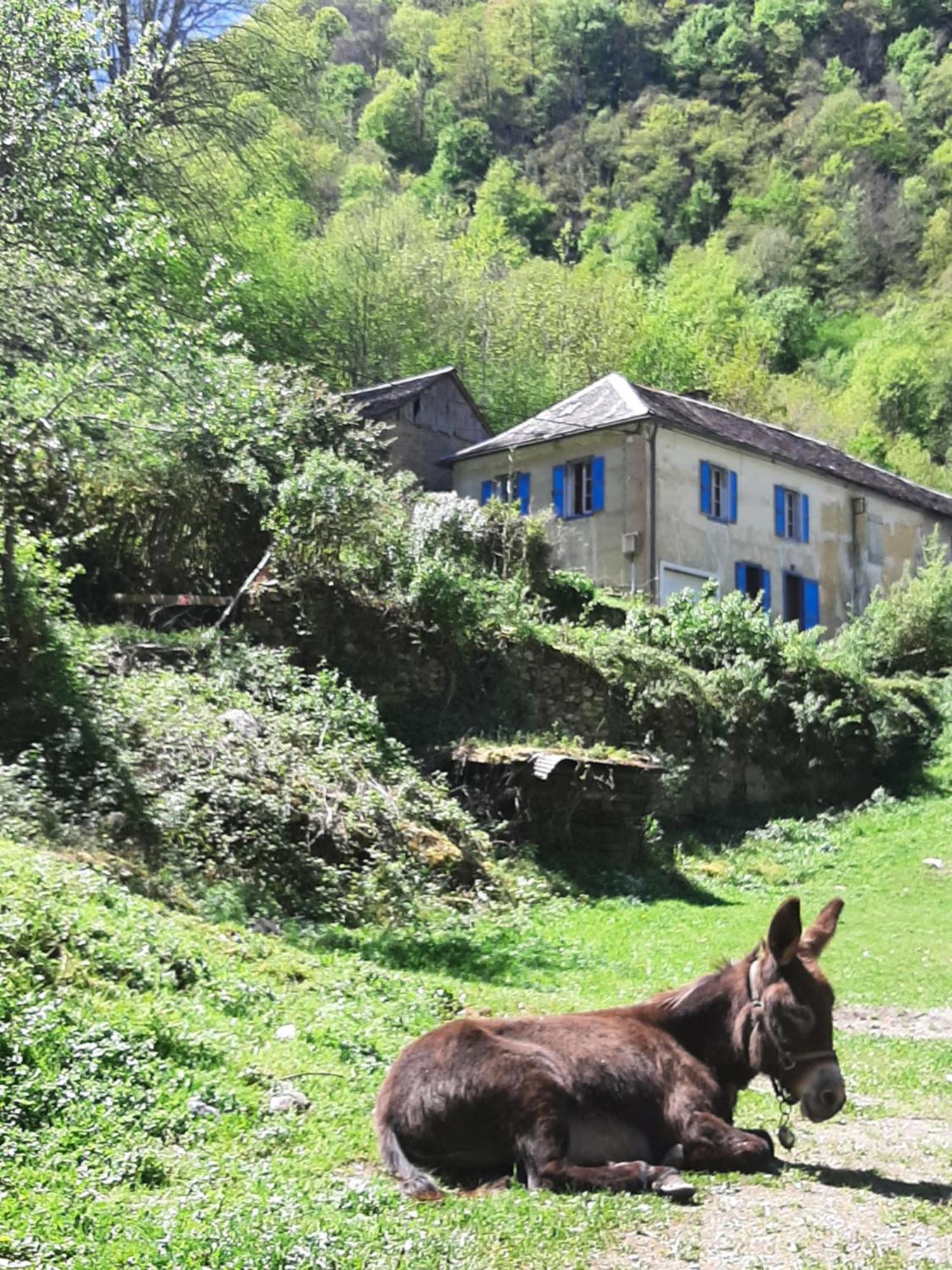 Les Spartiates Seix Exterior foto